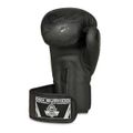 Boxerské rukavice DBX BUSHIDO B-2v18 10 oz