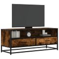 vidaXL TV skrinka dymový dub 100x34,5x40 cm kompozitné drevo a kov