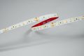 Modee LED pás DC24V 9,6W/m 128LED/m 8mm IP20 6000K (1150 lm/m) B5 (ML-LS24V48W128L/M6000KB5)