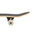 Skateboard NILS Extreme CR3108 Camper