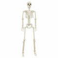 vidaXL Halloween kostra 2 ks Biela 85 cm PVC