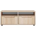 vidaXL TV skrinka "VISNES" Dub sonoma 100x40x38 cm Konštrukčné drevo