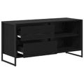 vidaXL TV skrinka 100 x 36 x 49,5 cm Čierny dub Kompozitné drevo