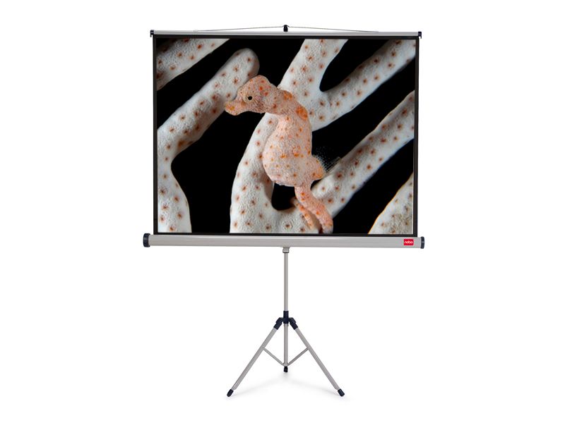 NOBO Tripod plátno š175 x v132 -matný biely,4:3