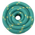 vidaXL Lano na čln 6 mm 10 m Zelená