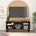 vidaXL TV skrinka 100x33x46 cm masívny mangovník a spracované drevo