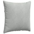 vidaXL Vankúše na pohovku 2 pcs Svetlosivá 60 x 60 cm