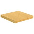 vidaXL Stolová doska 50x50x4 cm bambus