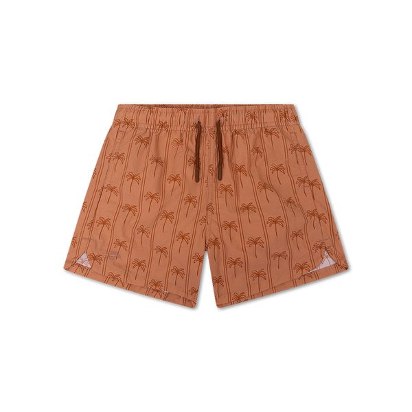 Plavecké šortky s UPF 50+ Palm Stripe