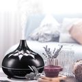 Aromatizér Palm čierna lesk 500 ml SIXTOL