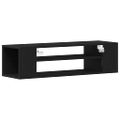 vidaXL TV skrinka 100 x 30 x 26,5 cm Čierny dub Kompozitné drevo