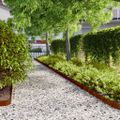 vidaXL Obrubník trávnika 50 pcs 10 x 103 cm Poveternostne odolná oceľ