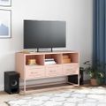 vidaXL TV skrinka ružová 100,5x39x60,5 cm oceľ