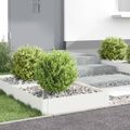 vidaXL Obrubník trávnika 4 ks 60 x 60 x 20 cm Oceľ Biela