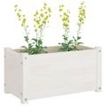 vidaXL Záhradné kvetináče 2 ks biele 60x31x31 cm borovicový masív