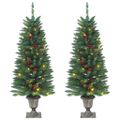 vidaXL Umelé vianočné stromčeky 2 ks 100 LED zelené 120 cm