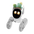 Pletený kostým pre Loona Premium Cactus