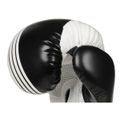 Boxerské rukavice DBX BUSHIDO B-2v3A