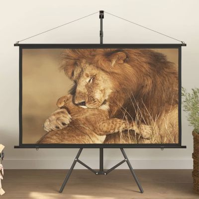 vidaXL Projekčné plátno so statívom 60" 16:9