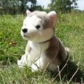 Plyšový pes husky s vodítkom 28 cm ECO-FRIENDLY