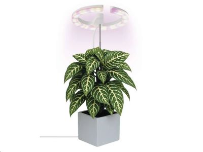 Pozemná lampa EMOS Z7902 LED GROW 8 W, časovač, stmievateľná, biela