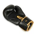 Boxerské rukavice DBX BUSHIDO B-2v17 16 oz