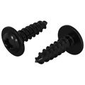 vidaXL Samorezný skrutkový klinc 2 ks Čierna 3,5 x 12 mm Železo