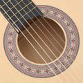 vidaXL Folková akustická gitara Cutaway so 6 strunami 38" lipové drevo