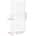 vidaXL Dvere NARVIK 100 x 210 cm Masívne borovicové drevo (neupravené)