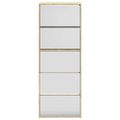 vidaXL Botník s 5 zrkadlovými skrinkami, farba dubu, 63x17x169,5 cm