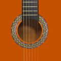 vidaXL Klasická gitara pre začiatočníkov s taškou 4/4 39"