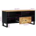 vidaXL TV skrinka 100x33x46 cm masívny mangovník a spracované drevo