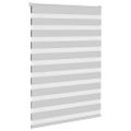 vidaXL Zebra roleta svetlosivá 100x150cm šírka látky 95,9 cm polyester