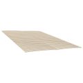 vidaXL Náhradné lamely k posteli s 48 lamelami, 2 ks, 70x200 cm