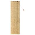 vidaXL Roleta Prírodná 60 x 220 cm Rákosie