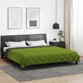 vidaXL Letná prikrývka 200 x 200 cm Leto 200 gsm Zelená a antracitová