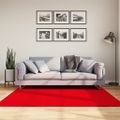 vidaXL Koberec HUARTE s krátkym vlakom umývateľný červený 160x160 cm