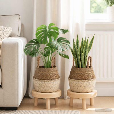 vidaXL Kvetináč s uchami 2 ks Biela Ø 22 x 20 cm 100% Morská tráva