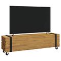 vidaXL TV stolík 110 x 30 x 30 cm Hnedá Husté teakové drevo