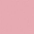 vidaXL Letná prikrývka 155 x 220 cm Leto Mikrovlákno (100% polyester)