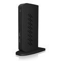 RAIDSONIC ICY BOX IB-DK2252AC, Dokovacia stanica