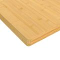 vidaXL Stolová doska 40x80x4 cm bambus
