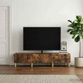 vidaXL TV skrinka 147 x 34,5 x 30 cm Dymový dub Kompozitné drevo