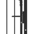 vidaXL Plotová brána s hrotmi EMMEN 100 x 200 cm