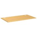 vidaXL Doska stola 100x60x1,5 cm bambus