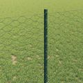 vidaXL Hexagonálny plot s stĺpom 50 x 1 m PVC potiahnutá oceľ Zelená