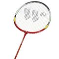 Badmintonový set WISH Alumtec 329k