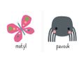Zvířátka moje první knihovnička