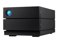 Pole pevných disků - 36 TB - 2 zásuvky - HDD 18 TB x 2 - USB 3.1 Gen 2 (externí) - s 5 let Rescue Data Recovery Service Plan