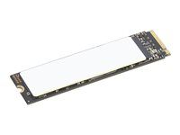 SSD - šifrovaný - 1 TB - interný - M.2 2280 - PCIe 4.0 (NVMe) - TCG Opal Encryption 2.0 - pre ThinkCentre neo Ultra 12; ThinkPad P1 Gen 7; P14s Gen 6; P16s Gen 3; P16s Gen 4; T16 Gen 4